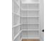 Organized walk-in pantry with ample shelving space at 3815 W Obispo St, Tampa, FL 33629