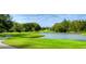 Scenic golf course view with lush green grass, a serene pond, and mature trees in a tranquil setting at 5351 Lookout Pass, Wesley Chapel, FL 33544