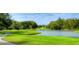 Lush green golf course with a pond and manicured lawns, perfect for golfers and nature enthusiasts alike at 5351 Lookout Pass, Wesley Chapel, FL 33544
