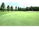 Close-up view of the pristine golf green showcasing the meticulously maintained surface and inviting play area at 5351 Lookout Pass, Wesley Chapel, FL 33544