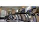 Modern gym featuring several treadmills with individual screens and large arched windows offering natural light at 5351 Lookout Pass, Wesley Chapel, FL 33544
