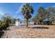 View of the backyard, with sparse landscaping and surrounded by mature trees at 5406 S 87Th St, Tampa, FL 33619