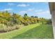 Spacious backyard with lush green lawn, tropical landscaping, and a nice view at 5647 Del Coronado Dr, Apollo Beach, FL 33572