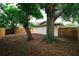 Backyard showcases spacious area with privacy fence and mature trees, perfect for outdoor activities at 8319 N 14Th St, Tampa, FL 33604