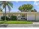 Charming single-story home with a well-maintained lawn, complemented by a lush palm tree and bright blue patio chairs at 858 Cambridge Ct # 858, Dunedin, FL 34698