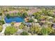 Aerial view of a beautiful house with a private pool and lake access surrounded by lush greenery at 10218 Garden Alcove Dr, Tampa, FL 33647