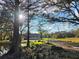 Scenic view of a home behind a pond, surrounded by lush greenery and mature trees, highlighting the natural setting at 1051 Hawthorn St, Zephyrhills, FL 33540