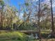 Scenic pond surrounded by lush greenery and trees, creating a tranquil and natural setting at 1051 Hawthorn St, Zephyrhills, FL 33540