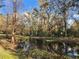 Scenic image of a small pond surrounded by trees, reflecting the natural beauty of the environment at 1051 Hawthorn St, Zephyrhills, FL 33540