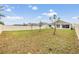 Spacious backyard features a white fence, recently planted trees, and lush green grass at 11508 Timber Grove Ln, Brooksville, FL 34613