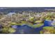 Stunning aerial view of a lake surrounded by lush greenery and mature trees at 12227 Noreast Lake Dr, Tampa, FL 33612