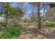 Serene backyard with mature trees, green grass, and a storage shed at 12227 Noreast Lake Dr, Tampa, FL 33612