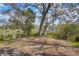 Picturesque backyard with mature trees and lush greenery, offering a serene view of the lake in the distance at 12227 Noreast Lake Dr, Tampa, FL 33612