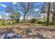 Expansive backyard featuring lush green grass, mature trees, and serene views at 12227 Noreast Lake Dr, Tampa, FL 33612