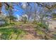 Spacious backyard with a shed, mature trees, and a lush green lawn at 12227 Noreast Lake Dr, Tampa, FL 33612