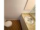 Bathroom features a single vanity and toilet at 13304 Meadowwood Ct, Tampa, FL 33618