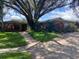 Charming single-story home with mature landscaping, brick driveway, and grand shade tree at 13304 Meadowwood Ct, Tampa, FL 33618