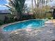 Inviting in-ground pool surrounded by brick pavers and lush landscaping, perfect for relaxation and entertainment at 13304 Meadowwood Ct, Tampa, FL 33618