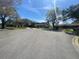 Wide street with lush trees and attractive houses in the background at 13304 Meadowwood Ct, Tampa, FL 33618