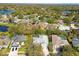 An aerial view captures houses with pools in a leafy neighborhood near a serene lake, creating an idyllic setting at 15209 Hammock Chase Ct, Odessa, FL 33556