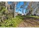 Lush backyard view framed by ferns and mature trees providing shade and tranquility at 4614 Sandpointe Dr, New Port Richey, FL 34655