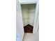 Walk-in closet providing efficient storage with multiple shelves and wood-look floor at 8906 Iron Oak Ave, Tampa, FL 33647