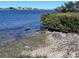Scenic water view with lush greenery bordering the water's edge at 12760 Indian Rocks Rd # 1066, Largo, FL 33774