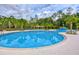 Beautiful community pool with a shallow end, playground, seating, and mature landscaping at 17805 Everlong Dr, Land O Lakes, FL 34638