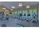 Bright and spacious gym equipped with modern exercise equipment and large windows overlooking greenery at 17805 Everlong Dr, Land O Lakes, FL 34638