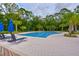 Community lap pool with bright blue umbrellas, lounge seating, and lush, tropical landscaping at 17805 Everlong Dr, Land O Lakes, FL 34638