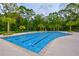 Community lap pool with swimming lanes, steel ladders, shallow end, and tropical landscaping at 17805 Everlong Dr, Land O Lakes, FL 34638