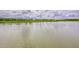 Scenic view of a calm pond surrounded by lush greenery and a cloudy sky at 17805 Everlong Dr, Land O Lakes, FL 34638
