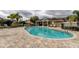 Community pool surrounded by lounge chairs and palm trees at 2153 Broadway View Ave, Brandon, FL 33510