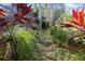 Lush backyard garden path featuring tropical plants and greenery leading to a screened-in pool at 3416 Fairfield Trl, Clearwater, FL 33761