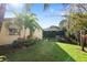 Well-maintained backyard boasting green lawn, tropical plants, and a screened-in pool enclosure at 3416 Fairfield Trl, Clearwater, FL 33761