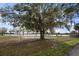 Picturesque backyard showcasing a mature tree and lake view, shaded by Spanish moss at 3807 Lake Joyce Dr, Land O Lakes, FL 34639