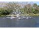 Beautiful view of a large water fountain in the lake at 4813 Michelle Ln, Palm Harbor, FL 34684