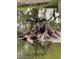 A bird perched on a stump with wings spread in the community pond at 8001 Jasmine Dr # 8001, Temple Terrace, FL 33637