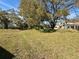 Large backyard with mature trees providing natural shade and room to entertain at 22941 Leafwood Ct, Land O Lakes, FL 34639