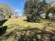 Expansive backyard featuring a lush lawn and mature trees creating natural shade at 22941 Leafwood Ct, Land O Lakes, FL 34639