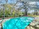 Relaxing pool with screened enclosure offers a private and peaceful escape surrounded by lush greenery at 3212 Player Dr, New Port Richey, FL 34655