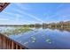 Scenic lake view, reflecting the clear sky and trees in the background at 4106 Waterside Island Ct, Tampa, FL 33617
