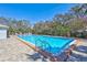Community swimming pool surrounded by lush greenery and plenty of lounging space at 4106 Waterside Island Ct, Tampa, FL 33617