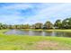 Scenic backyard featuring a calm lake surrounded by lush greenery, creating a serene outdoor space at 5115 Abisher Wood Ln, Brandon, FL 33511