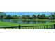 Picturesque view of the pond and beautiful greenery from the backyard, creating a serene atmosphere at 5115 Abisher Wood Ln, Brandon, FL 33511