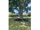 Spacious front yard featuring a majestic tree with charming swings for relaxing outdoors at 7843 Shoupe Rd, Plant City, FL 33565