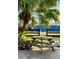 Picturesque outdoor picnic area with a wooden picnic table under a lush palm tree at 7843 Shoupe Rd, Plant City, FL 33565