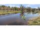 Scenic pond view with lily pads and wooden fence surrounding the property on a sunny day at 7843 Shoupe Rd, Plant City, FL 33565