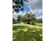 Well-maintained yard with lush green grass, mature trees, and partial view of the pond and fencing at 7843 Shoupe Rd, Plant City, FL 33565