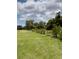 Expansive property with lush greenery and mature trees providing shade and privacy at 7843 Shoupe Rd, Plant City, FL 33565